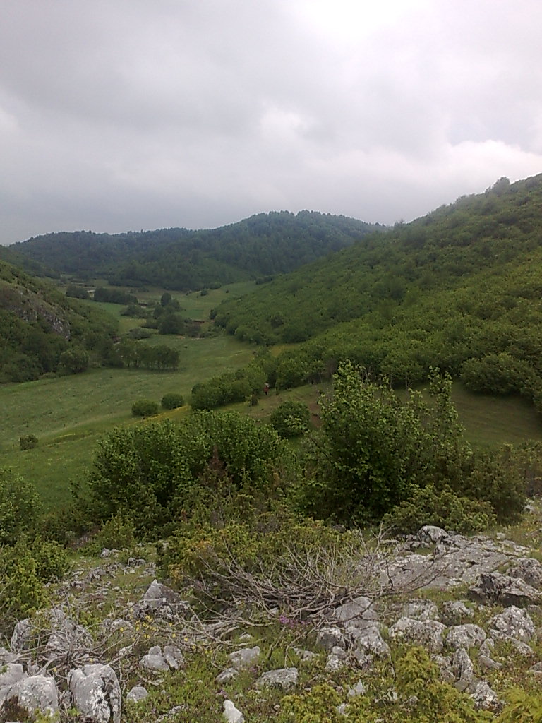 Lovačka sekcija Rasno